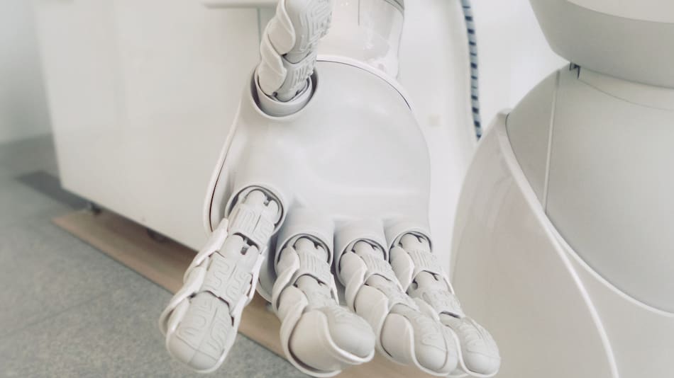 Robótica blanda. Foto: Unsplash.