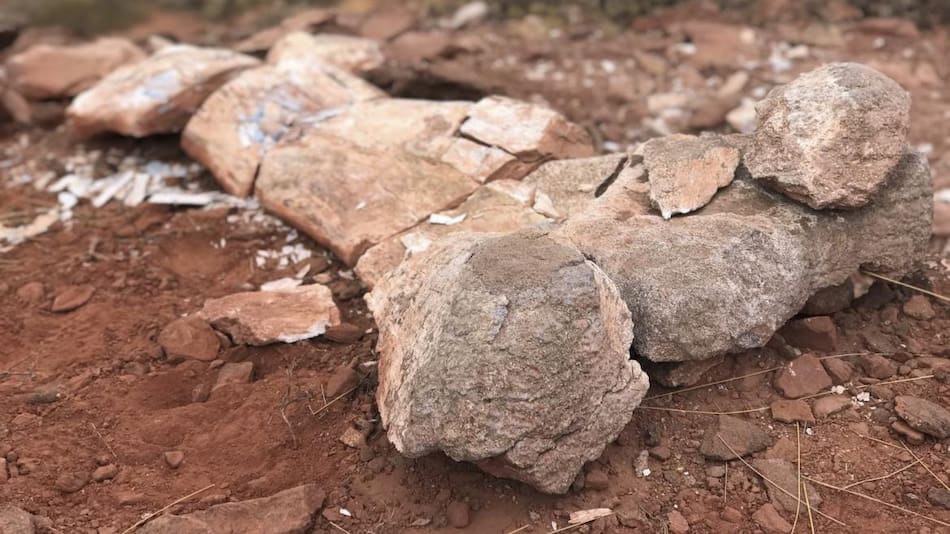 Hallazgo arqueológico en Neuquén. Foto: Telam.