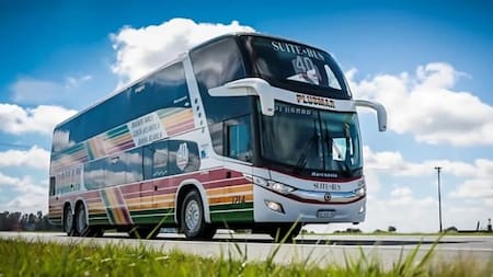 Uno de los beneficios que brinda el Certificado Único de Discapacidad es la opción de sacar pasajes de larga distancia para poder visitar diversos puntos turísticos del país gratis.