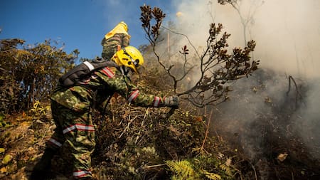 Incendios en Colombia. Foto: Reuters.