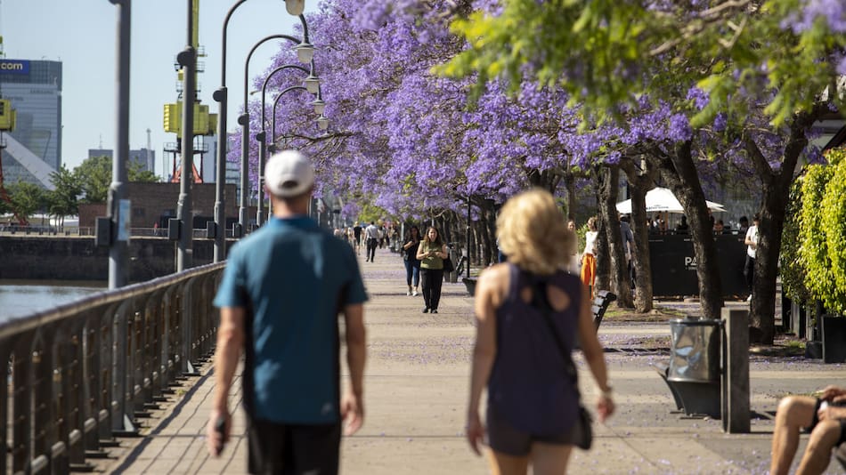 Calor en la Ciudad de Buenos Aires. Foto: NA/Damián Dopacio.