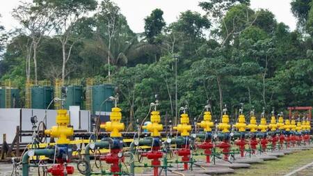 Hilera de pozos petroleros en una plataforma del campo Tambococha, del Bloque 43-ITT. Foto: EFE.