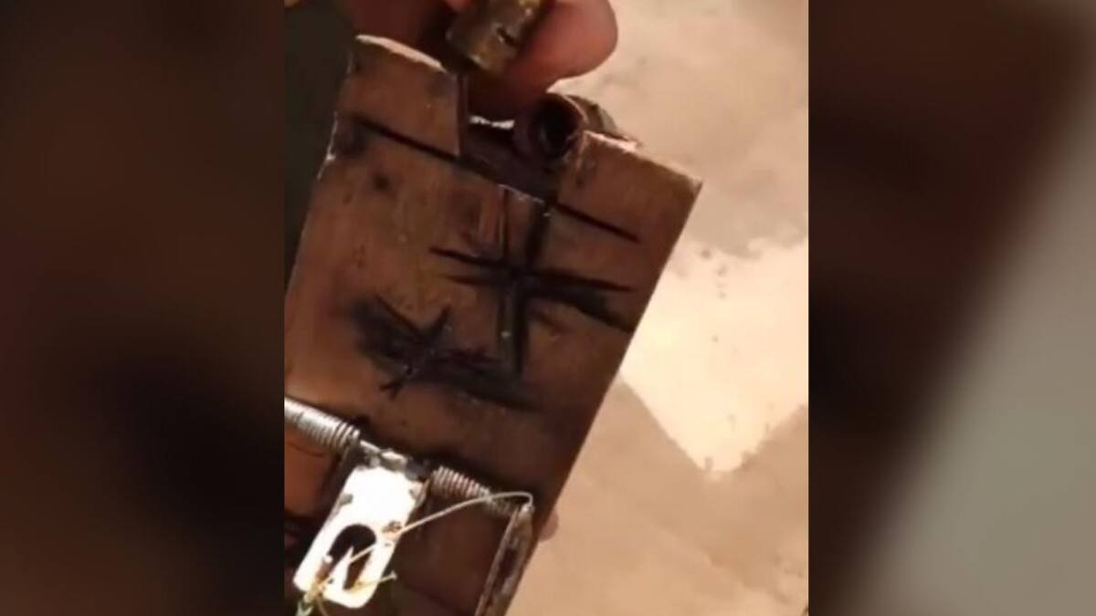 Encontraron peligroso artefacto en el Parque Nacional Iguazú tras la visita de Alberto Fernández, NA