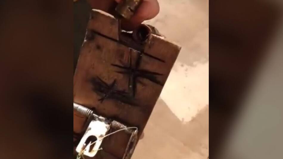 Encontraron peligroso artefacto en el Parque Nacional Iguazú tras la visita de Alberto Fernández, NA
