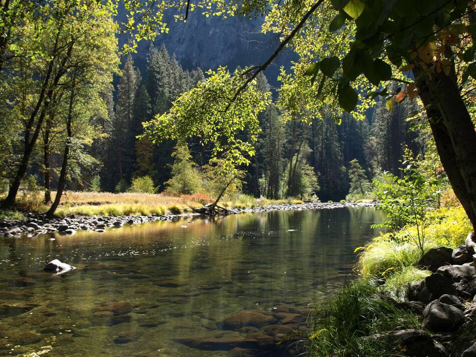 Los ríos se calientan y pierden oxígeno más rápido que los océanos. Foto: Unsplash