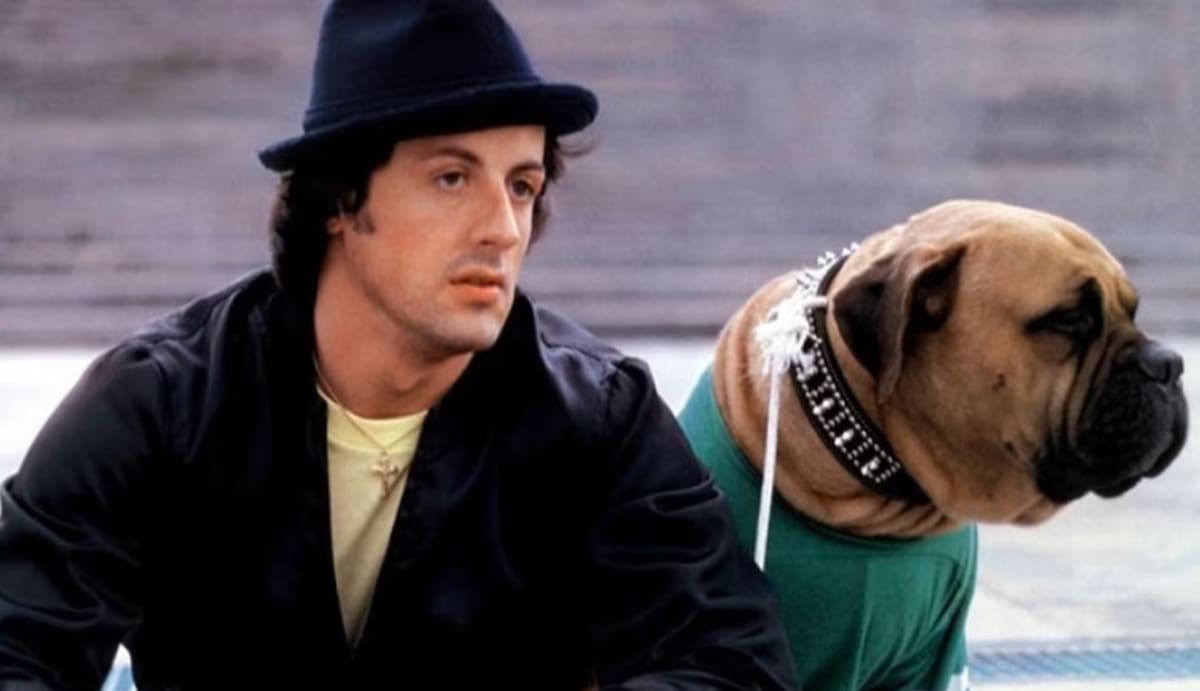 Sylvester Stallone, junto a su perro Butkus.