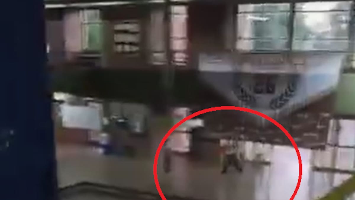 Crimen en el colegio de Santa Fe: qué se sabe del alumno que mató a un compañero en una escuela de San Cristobal