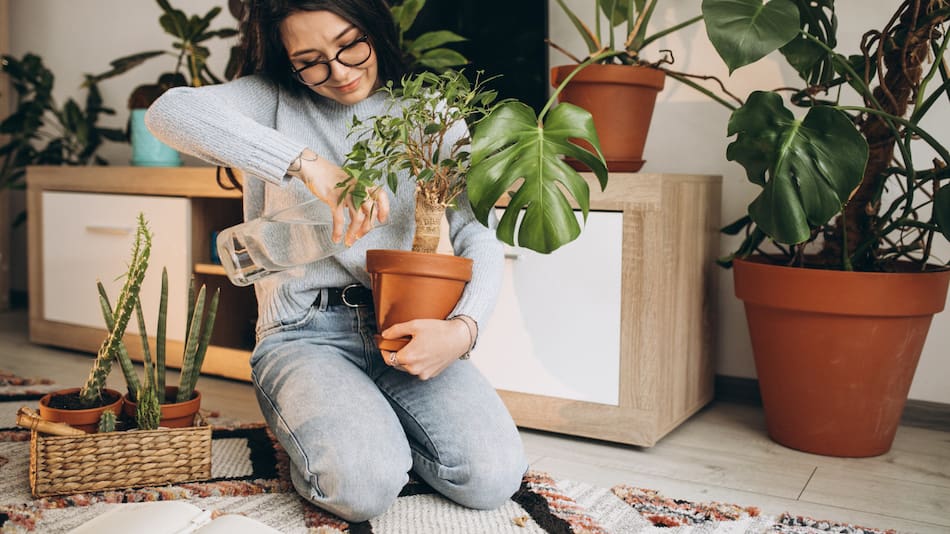 El comienzo de un nuevo año es el momento ideal para renovar las energías en casa. Foto Freepik