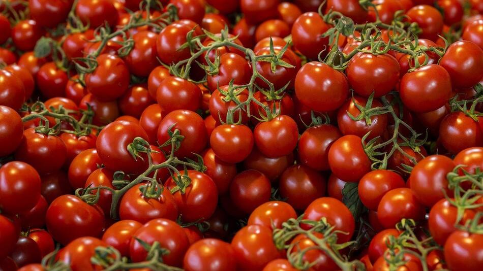 Tomates contaminados con salmonella. Foto: Pixabay.