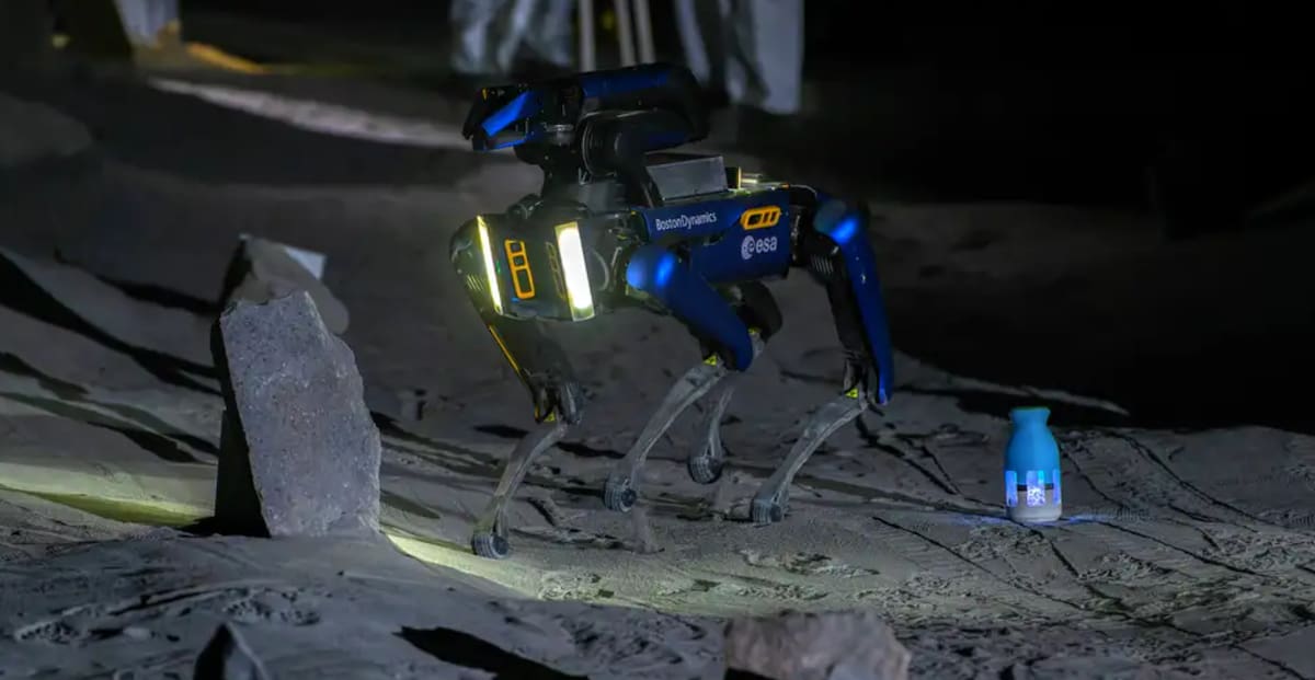 Perros robots chinos