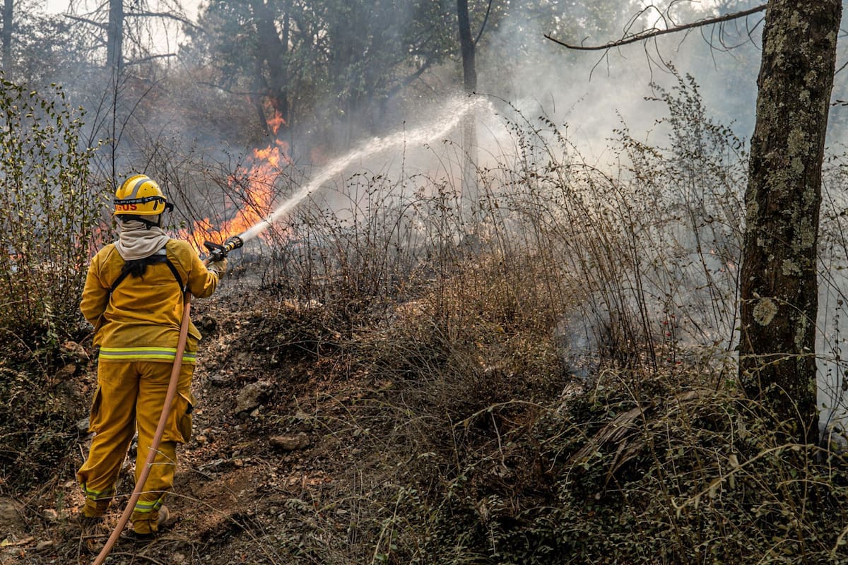 Bomberos combatiendo el fuego en Córdoba. Foto: NA