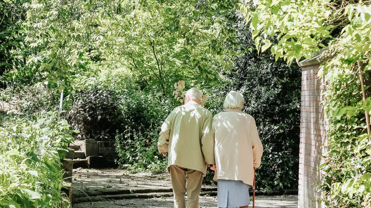 Vivir cerca de zonas verdes frena el envejecimiento. Foto: Unsplash