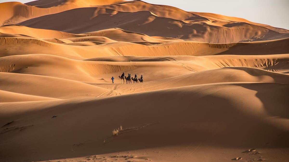 La gigantesca barrera de arena que atraviesa el desierto de Sahara.