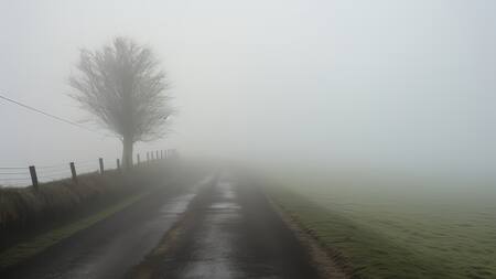 Precauciones para manejar cuando hay neblina en la ruta.