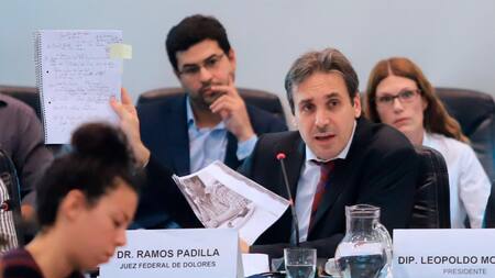 Alejo Ramos Padilla, Congreso, política, NA