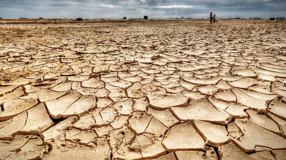 Día de la Tierra, Reuters