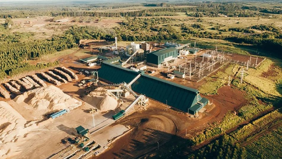 Insud invierte u$s 100 millones para construir una planta de biomasa