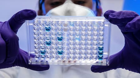 Hallan nuevas "puertas" en la membrana celular que podrían revolucionar los tratamientos médicos