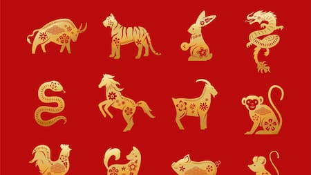 Horóscopo chino. Foto: Freepik.