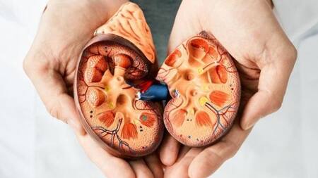 Día Mundial del Riñón