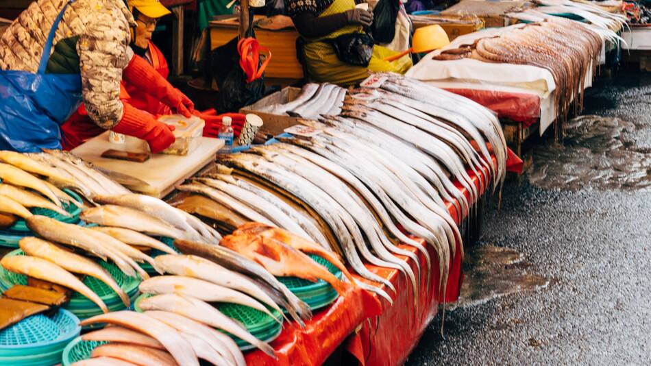 El congrio el pescado más beneficioso para los humanos. Foto: Unsplash