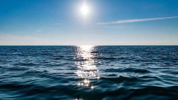 Qué es “The Blob”, el peligroso fenómeno climático del tamaño de un país que está cobrando fuerza: a quiénes afecta