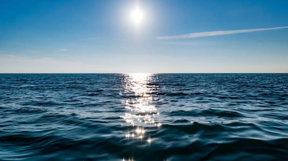 Preocupación por los océanos. Foto: Noticias Ambientales