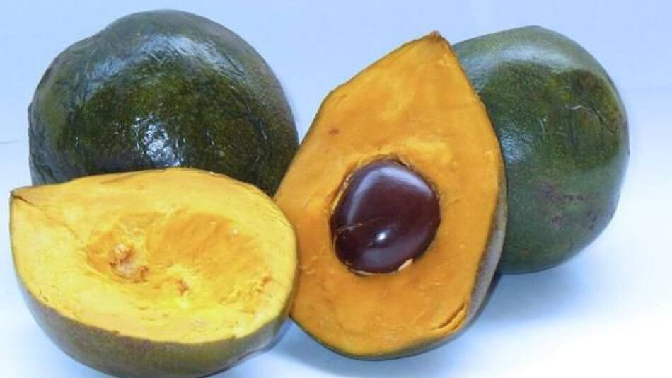 Lúcuma, fruta. Foto: X