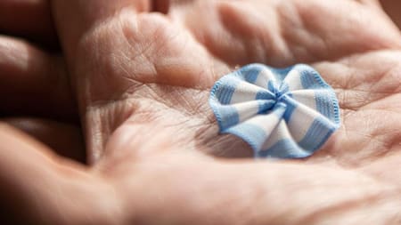 18 de mayo, Día de la Escarapela