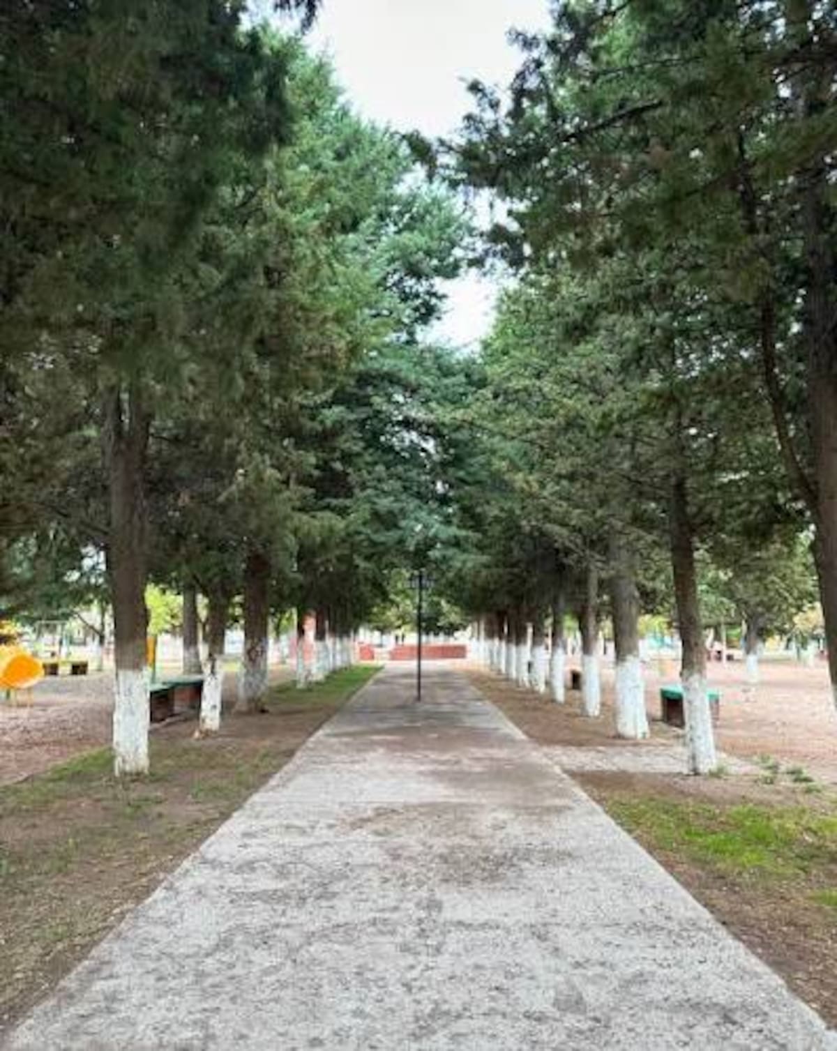 Postales de Ramos Mexía, en la estepa de Río Negro