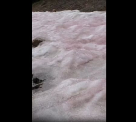 Nieve de Sandia. Foto: Captura de video.