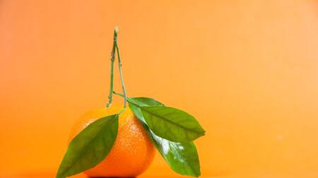 El superalimento que tiene diez veces más vitamina C que la naranja. Foto: Unsplash