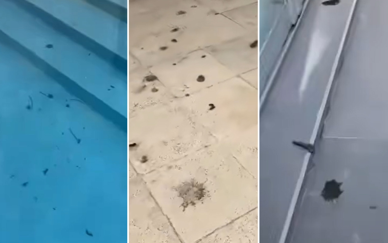 La bronca de El Polaco. Foto: capturas de video