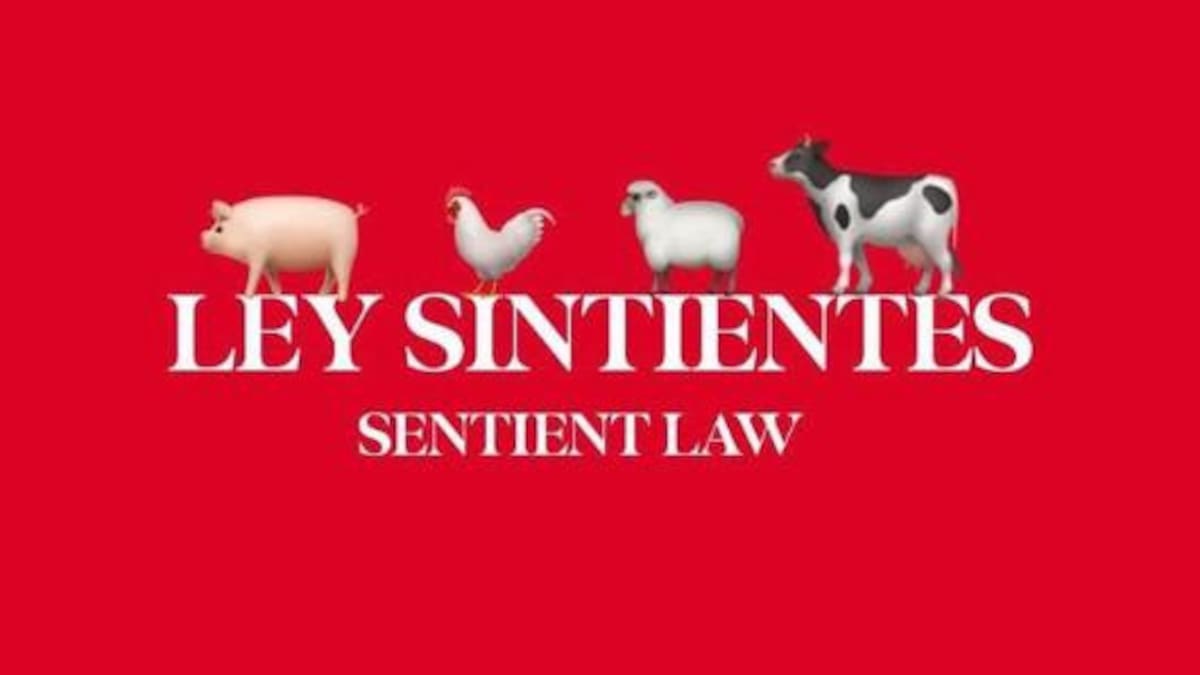 Ley Sintientes.