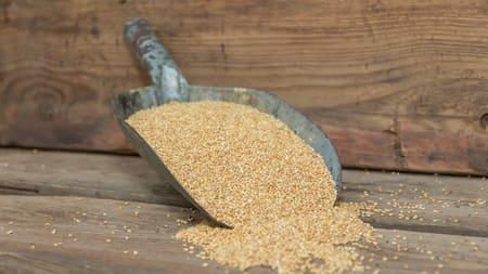 Mijo, el cereal que reduce el colesterol. Foto Freepik.