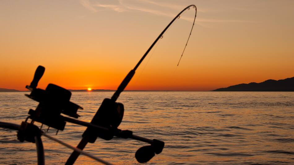 Pesca. Foto: Unsplash