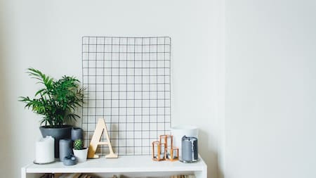 Plantas de interior. Foto: Unsplash.