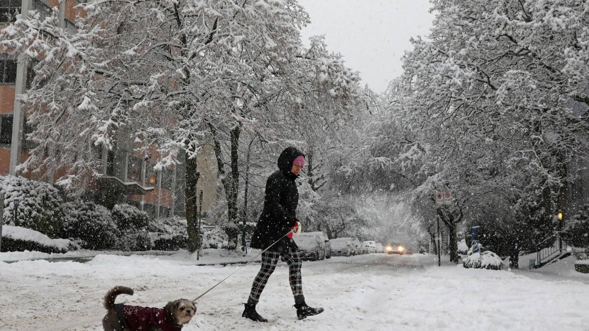 Nieve. Foto: NA.