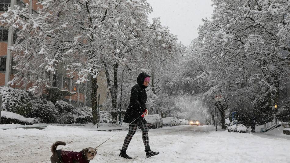 Nieve. Foto: NA.