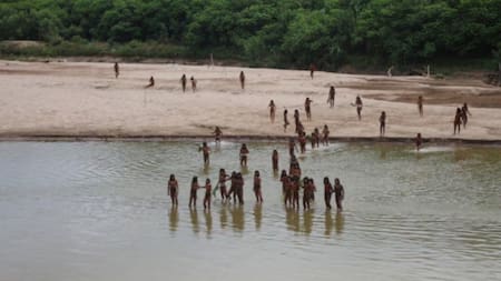 Mashco Piro, tribu. Foto: X