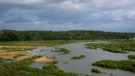 El Paraná en riesgo: científicos advierten que más de la mitad de los deltas del mundo se están hundiendo