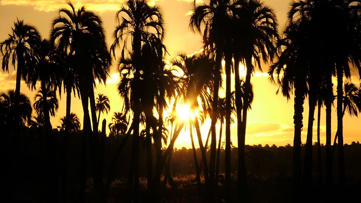 El Palmar, Entre Ríos.
