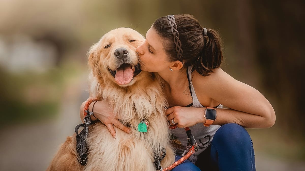 Veterinarios coinciden: “La persona favorita de los perros es la que juega, pasea y pasa más tiempo con ellos”