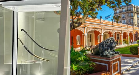 Sable corvo de San Martín. Foto: Instagram @mhnarg