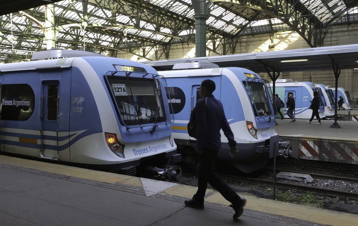Paro de trenes. Foto: NA/Damián Dopacio.
