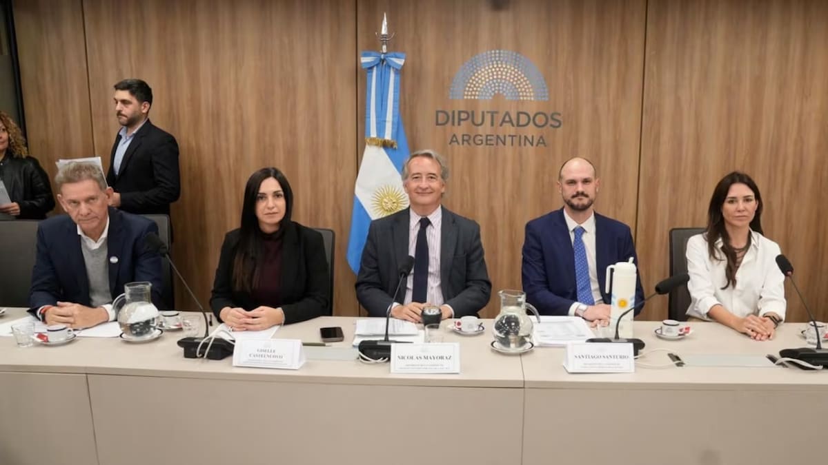 El oficialismo aceptó restituir las restricciones de la venta de tierras a extranjeros para garantizar la aprobación del proyecto sobre propiedad privada
