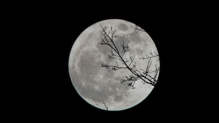 Luna, NASA, cuerpo celeste. Foto: Unsplash