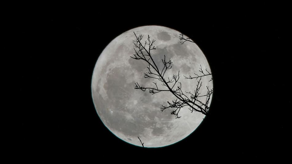 Luna, NASA, cuerpo celeste. Foto: Unsplash