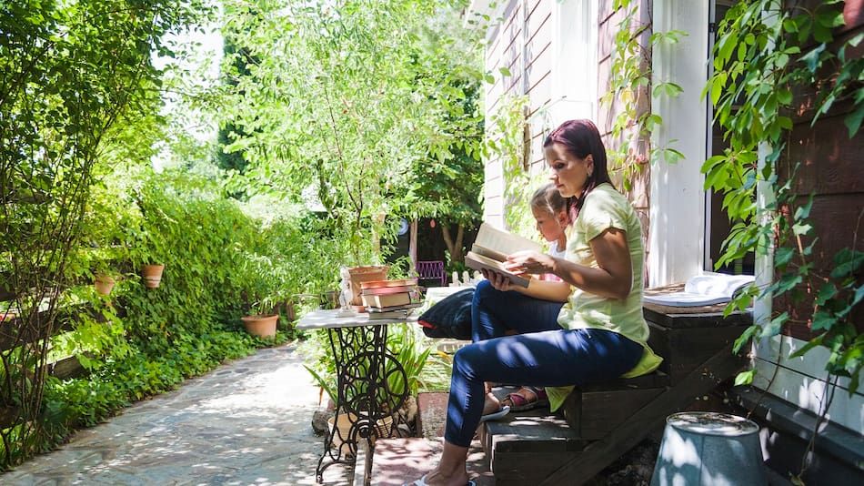 Los árboles ideales con poca raíz para el jardín de tu casa.
