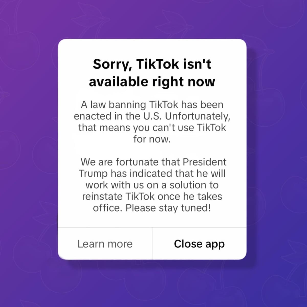 El mensaje enviado por TikTok a sus usuarios en Estados Unidos. Foto: Captura TikTok.
